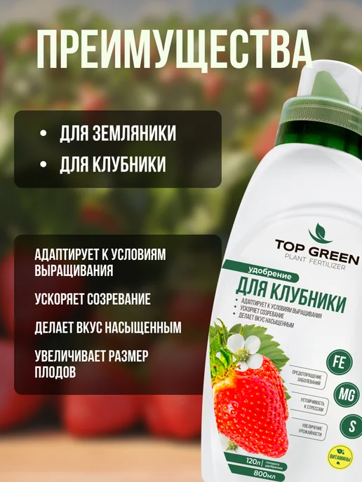 TOP GREEN Удобрение для растений сада и огорода, для клубники весна, зеленый, фото 3