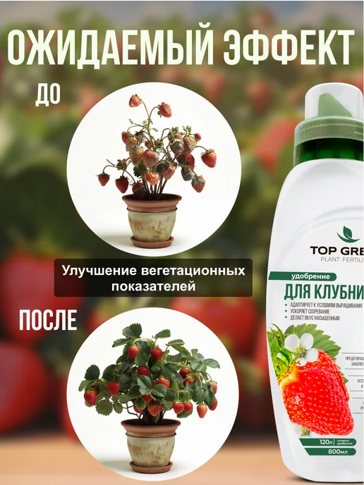 TOP GREEN Удобрение для растений сада и огорода, для клубники весна, зеленый, фото 4