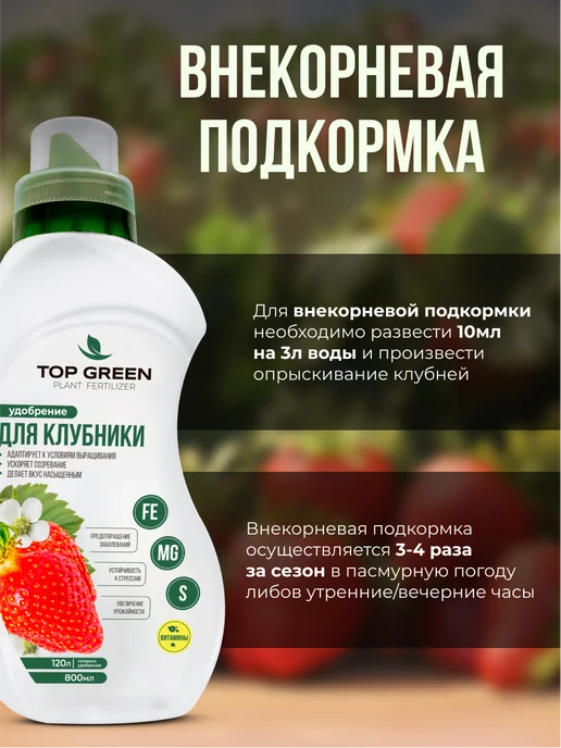 TOP GREEN Удобрение для растений сада и огорода, для клубники весна, зеленый, фото 6
