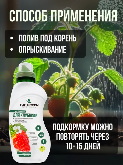 TOP GREEN Удобрение для растений сада и огорода, для клубники весна, зеленый, фото 7