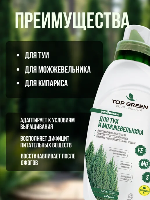 TOP GREEN Удобрение для хвойных растений, туи можжевельника весна, зеленый, фото 3