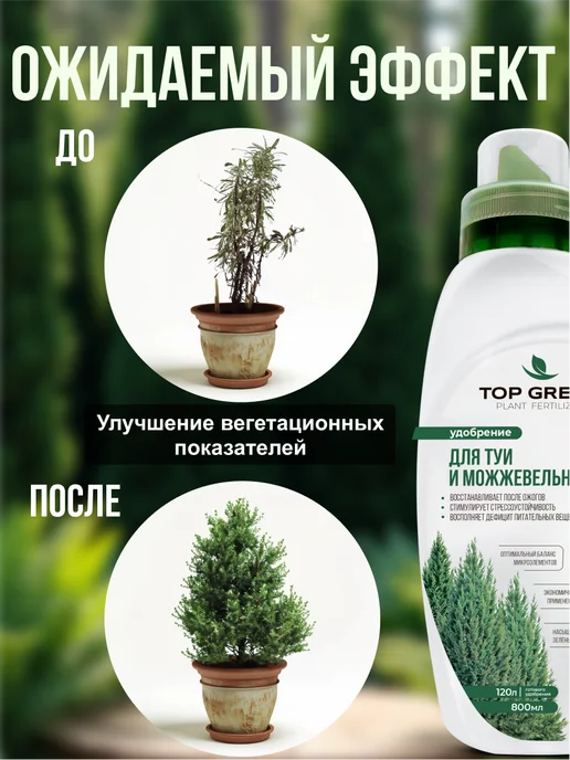 TOP GREEN Удобрение для хвойных растений, туи можжевельника весна, зеленый, фото 4