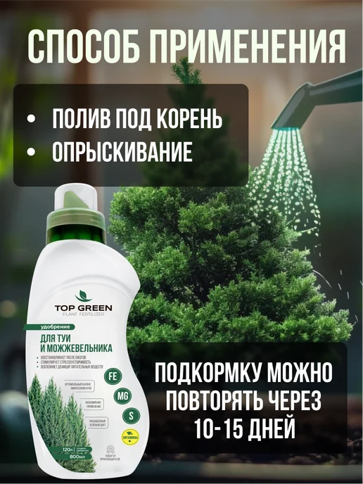 TOP GREEN Удобрение для хвойных растений, туи можжевельника весна, зеленый, фото 7