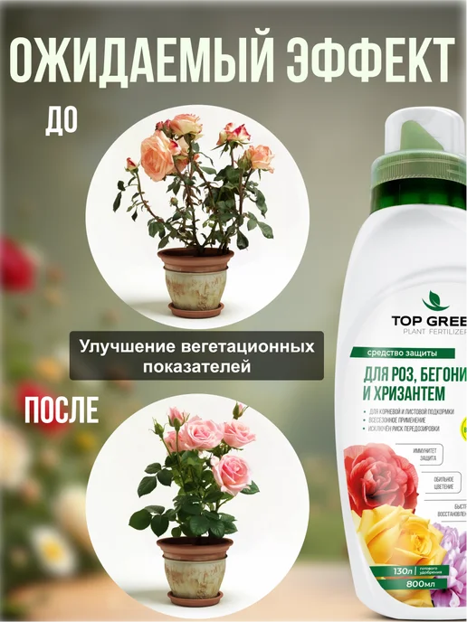 TOP GREEN Удобрение для роз садовых и комнатных, бегоний, хризантем, зеленый, фото 4