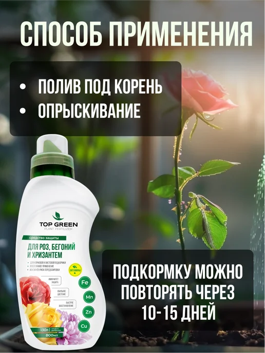TOP GREEN Удобрение для роз садовых и комнатных, бегоний, хризантем, зеленый, фото 7