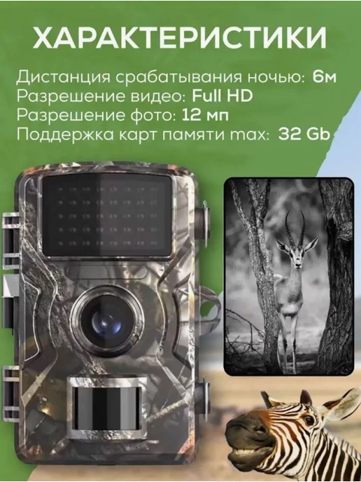 ArmStore-lux Фотоловушка для охраны дачи, вариант, фото 3