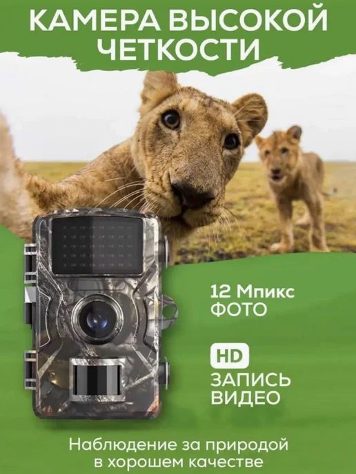 ArmStore-lux Фотоловушка для охраны дачи, вариант, фото 4