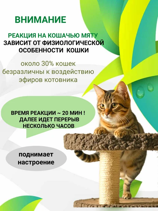 Великий кот Спрей с экстрактом натуральной кошачьей мяты Релакс, вариант, фото 6