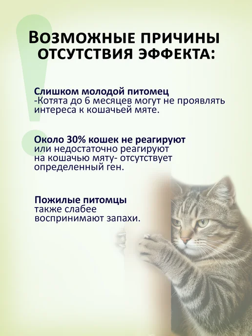 Великий кот Спрей с экстрактом кошачьей мяты с валерианой и лавандой, вариант, фото 5