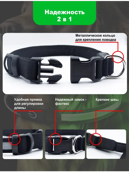ЗВЕРВЕРИЯ Светящийся ошейник для собак USB, вариант, фото 4
