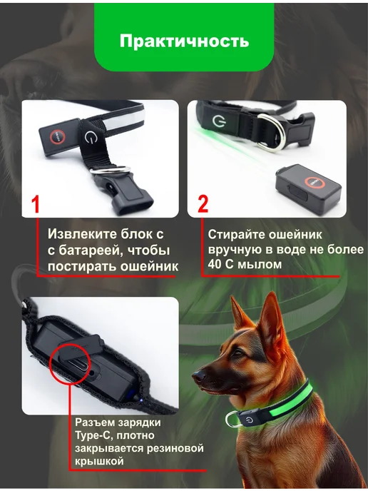 ЗВЕРВЕРИЯ Светящийся ошейник для собак USB, вариант, фото 5