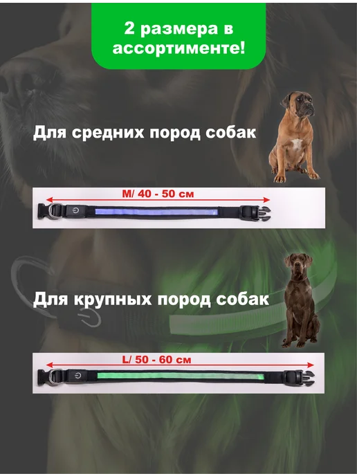 ЗВЕРВЕРИЯ Светящийся ошейник для собак USB, вариант, фото 6