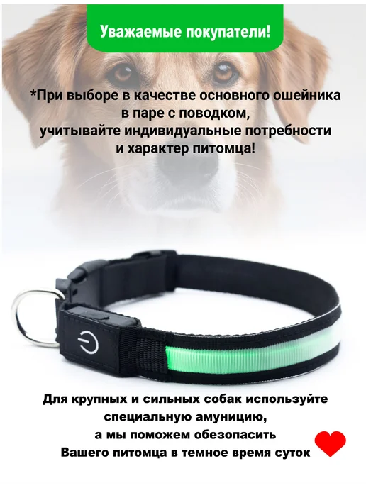 ЗВЕРВЕРИЯ Светящийся ошейник для собак USB, вариант, фото 8