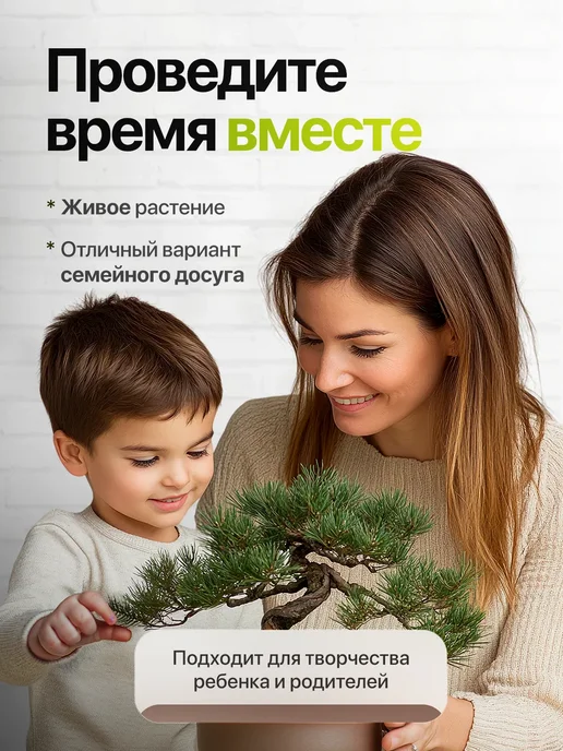 Про Растения Набор для выращивания растений Адениум Роза пустыни, вариант, фото 7