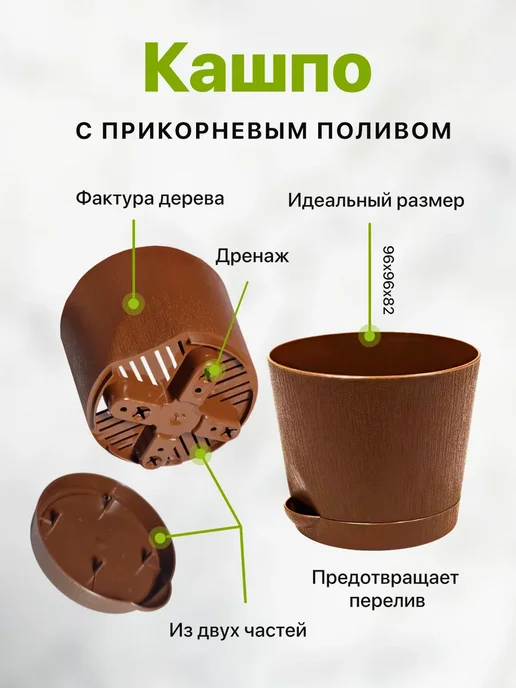 Про Растения Набор для выращивания растений Эвкалипт серебристый, вариант, фото 5