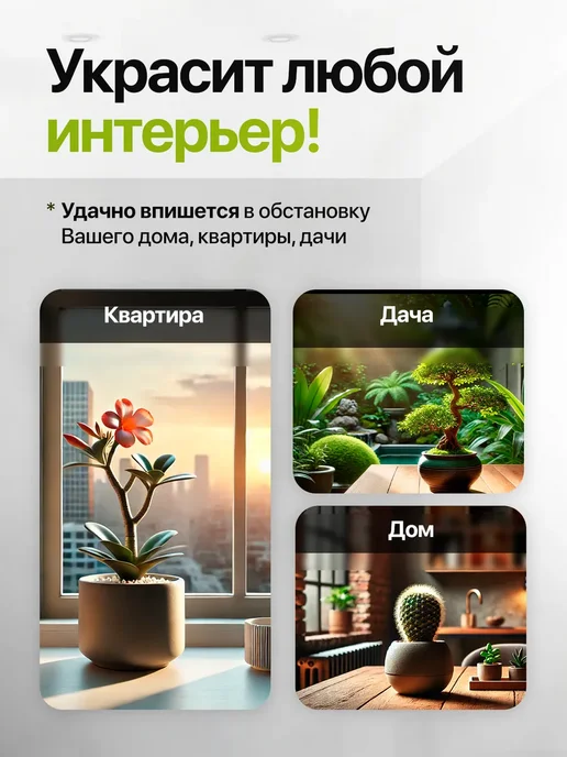 Про Растения Набор для выращивания растений Эвкалипт серебристый, вариант, фото 8