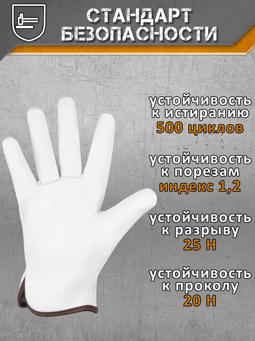 Sapset Перчатки рабочие из козьей кожи Alpha Tauri, белый, фото 5
