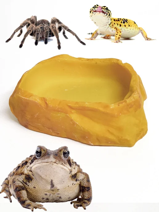 AqvaVita Кормушка поилка для змей рептилий, желтый, фото 3