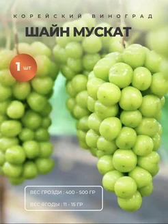 Интернет-магазин Wildberries: широкий ассортимент товаров - скидки каждый день!