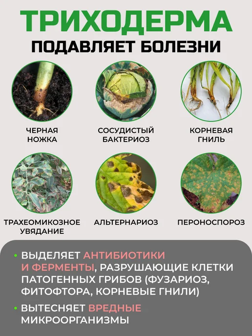 Ваше Хозяйство Триходерма Вериде для защиты растений от болезней, вариант, фото 2