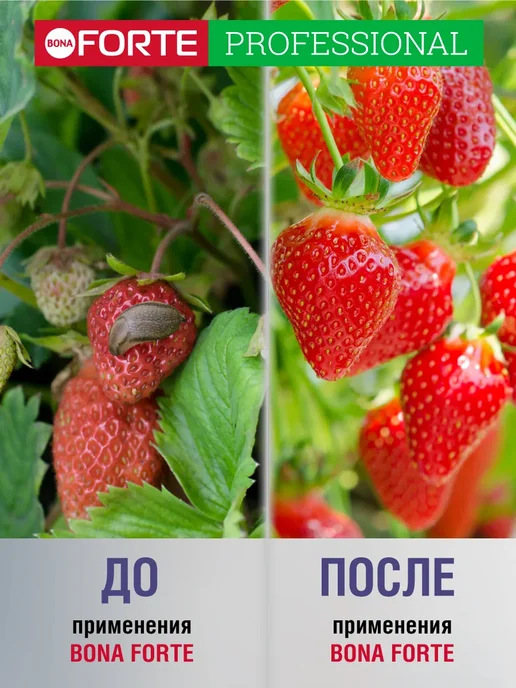 Bona Forte Средство для обработки от слизней и улиток в огороде 300 г, 900 г, фото 2