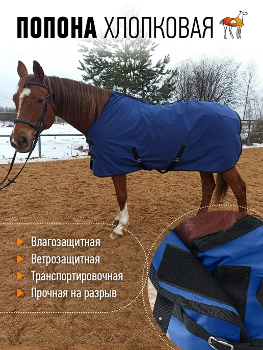 Конные сказки Попона хлопковая для лошади, вариант, фото 2