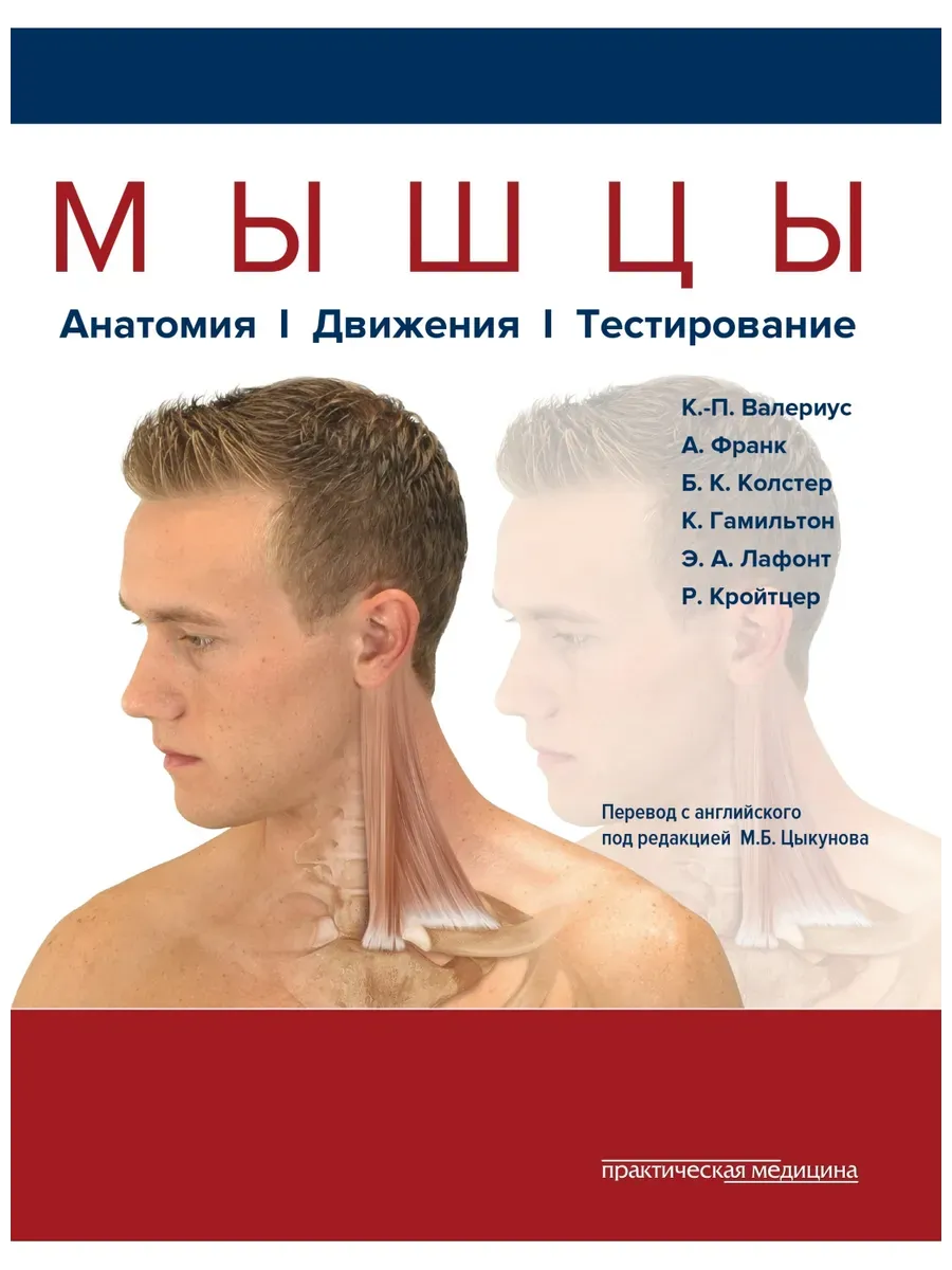 Мышцы. Анатомия Движения Тестирование