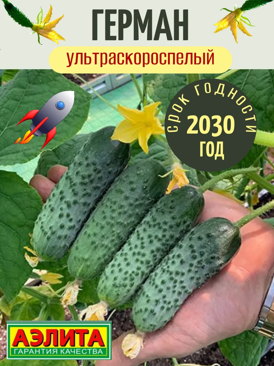 Семена Огурца Герман