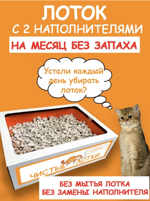Лоток с наполнителем для кошачьего туалета, вариант