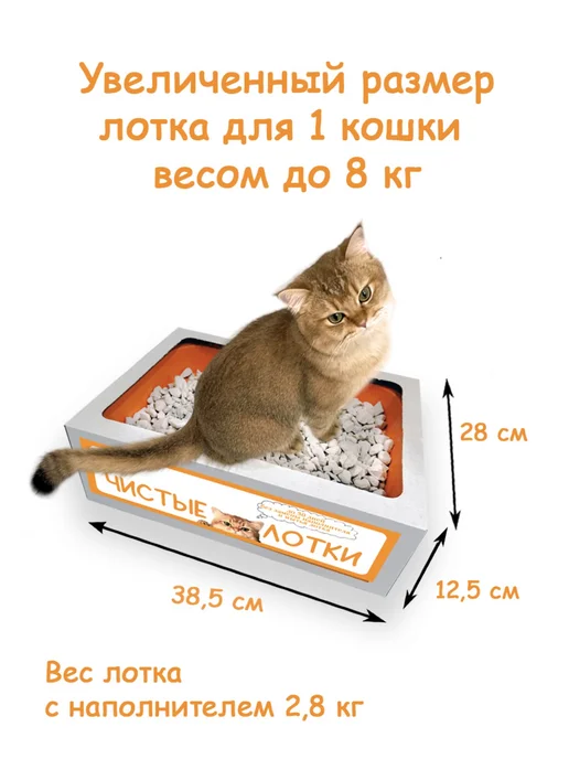 Лоток с наполнителем для кошачьего туалета, вариант, фото 2