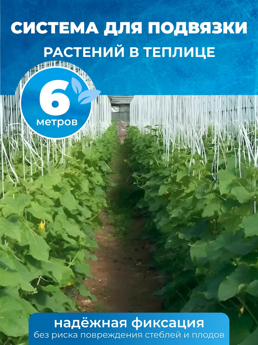 Система для подвязки растений в теплице 6м