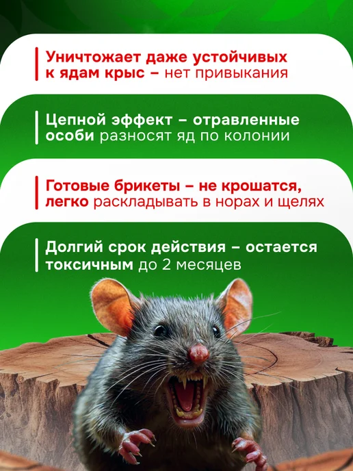 гремучая смесь Отрава для мышей и крыс, 1500 гр, 1500 г, фото 3
