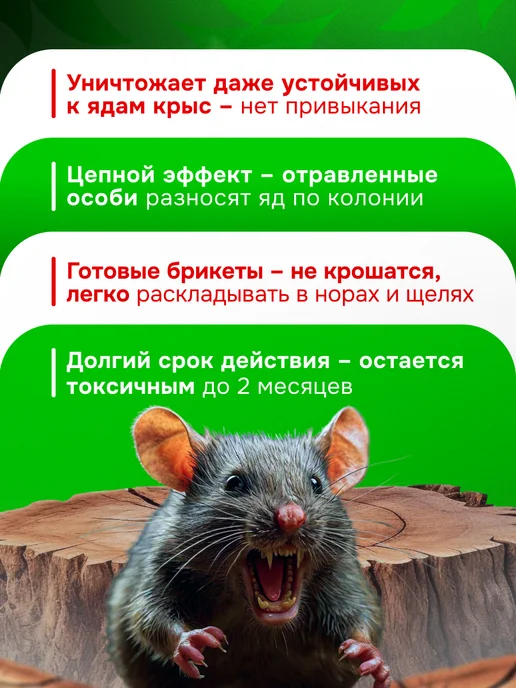 гремучая смесь Отрава для мышей и крыс, 500 гр, 100 г, фото 3