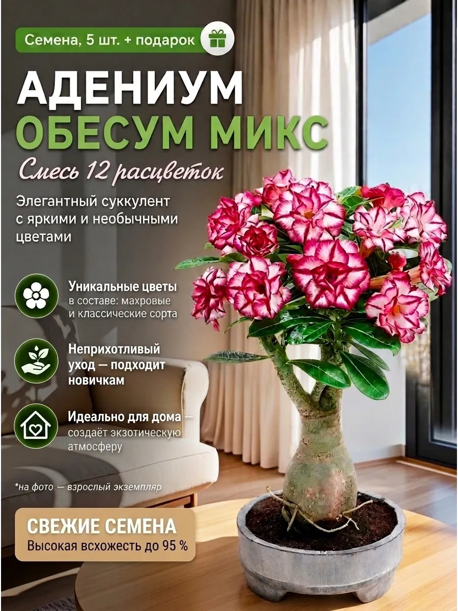 Адениум Обесум Микс Цветов (Роза пустыни), Семена, 5 шт.