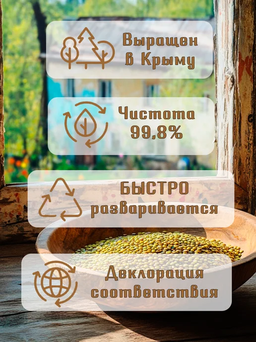 Чечевица, вариант, фото 3