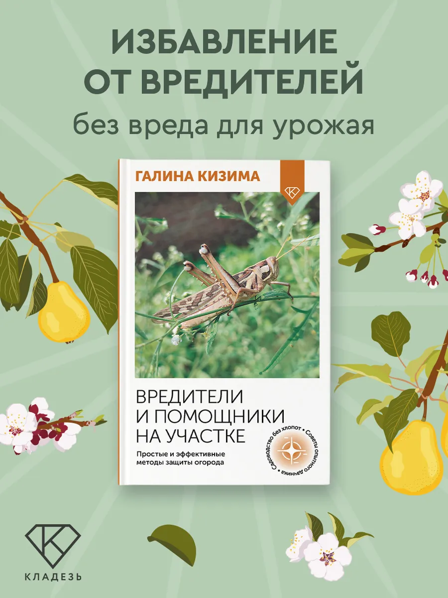 Вредители и помощники на участке. Простые и эффективные