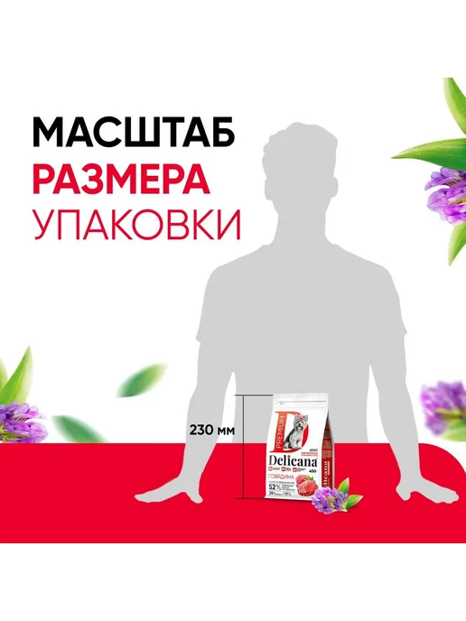 Сухой корм Delicana для собак, взрослые, мелкие, говядина, 0,4 кг, фото 7