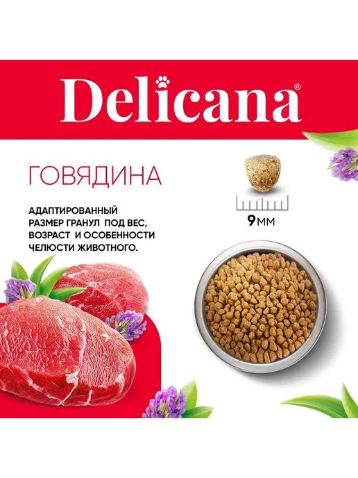 Сухой корм Delicana для собак, взрослые, мелкие, говядина, 0,4 кг, фото 8