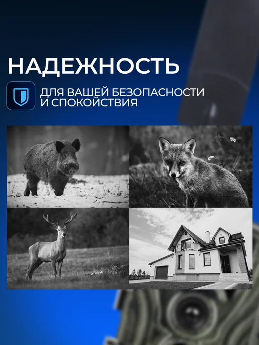 SUNTEK Фотоловушка HC-801Pro-LI, вариант, фото 4