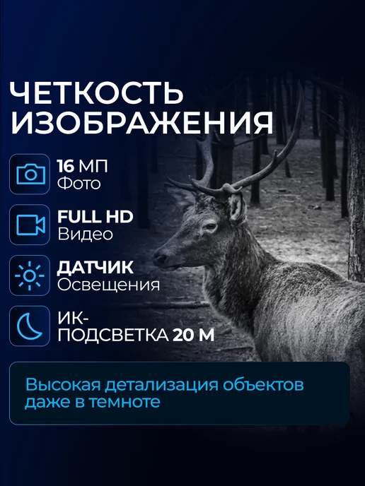 SUNTEK Фотоловушка HC-550M, вариант, фото 2