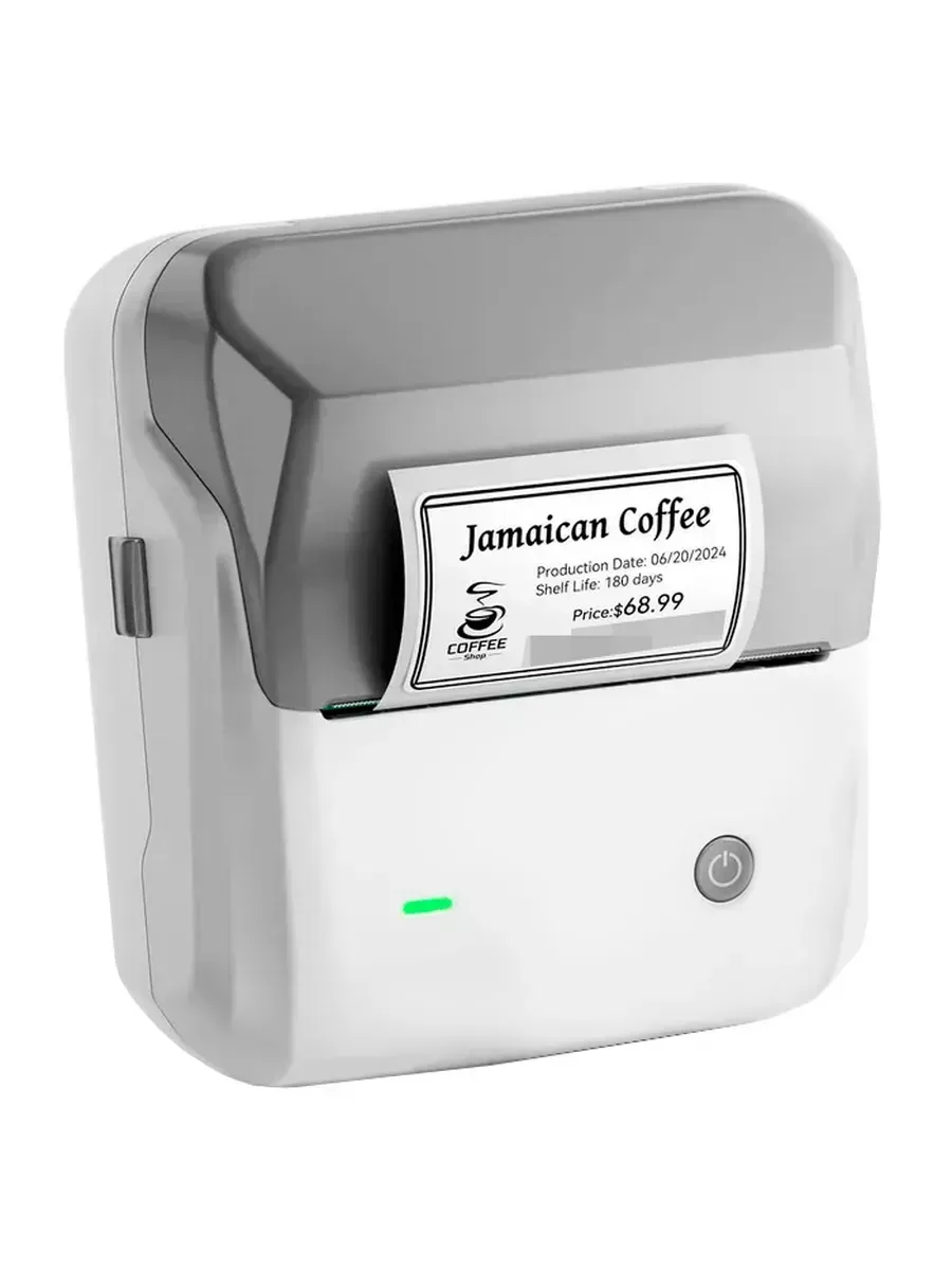 Термопринтер этикеток Label Printer B31 Gray