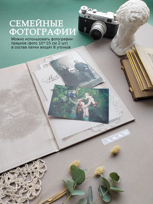 FAMILY ALBUM Семейное древо "Классика". Родословная книга подарок, бежевый, фото 5