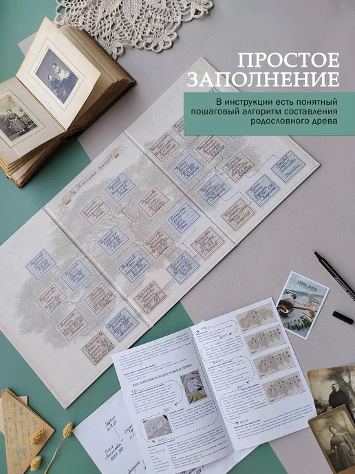 FAMILY ALBUM Семейное древо "Классика". Родословная книга подарок, бежевый, фото 6