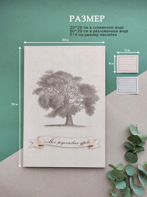 FAMILY ALBUM Семейное древо "Классика". Родословная книга подарок, бежевый, фото 8