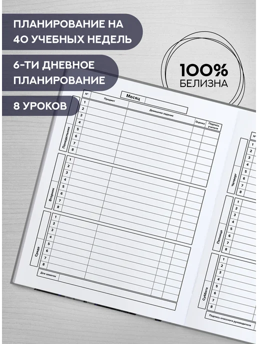 Феникс+ Дневник школьный 1 - 11 класс 48 листов гибкая обложка, вариант, фото 3