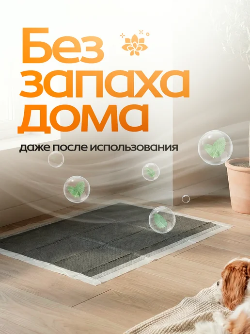 EVIRNES Пеленки для собак одноразовые угольные 45х60 50 штук, 45x33, фото 2