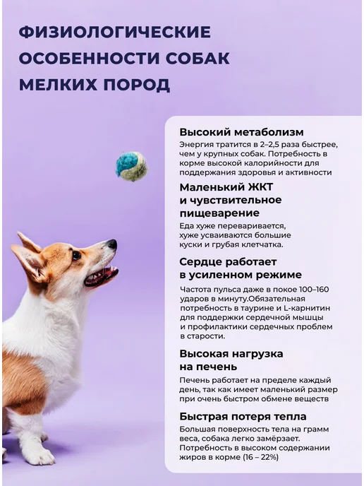 Сухой корм Farmina Без для собак, взрослые, мелкие, курица, лосось, 5 кг, фото 3