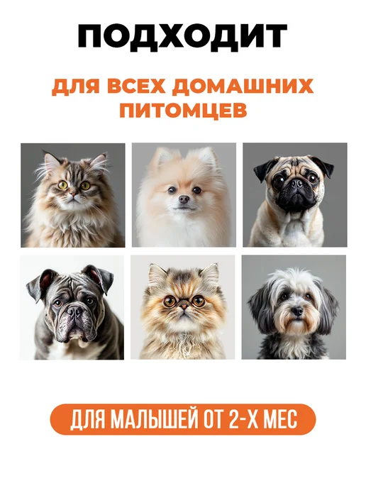 Spets Лосьон для чистки глаз и ушей собак и кошек, 200 мл, фото 4