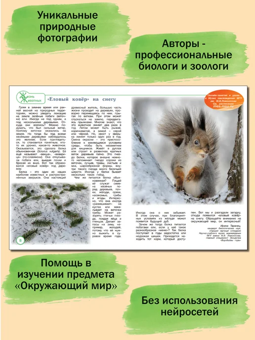 ИП Бахметьева И.А. Журнал "Пульс природы" №2 2025, №2, фото 3
