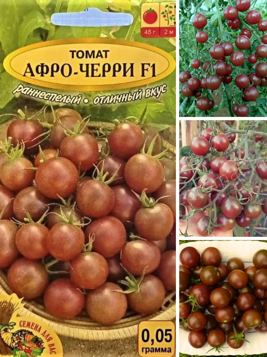 Похожие